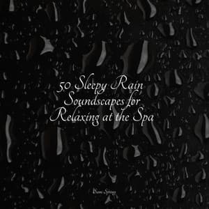 50 Sleepy Rain Soundscapes for Relaxing at the Spa - Relaxing Nature Music