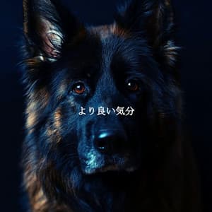 より良い気分 - Dinner Music Classics