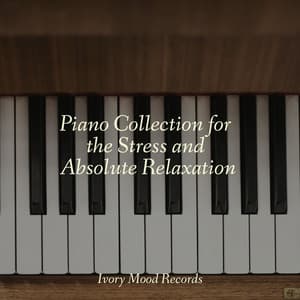 Piano Collection for the Stress and Absolute Relaxation - Ivory Mood