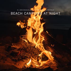 Beach Campfire at Night - Dr. John Douglas