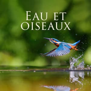Eau et oiseaux: Détente dans l'oasis du spa, Sons apaisants de la nature - Oasis de Musique Zen Spa