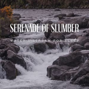 Serenade of Slumber: Water's Stream for Sleep - Serenity Sounds