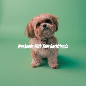 Weekends With Your Bestfriends - Jazz Rilassante Ritmi