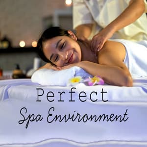 Perfect Spa Environment: Relaxing Session with Sound and Nature - Amazing Spa Music