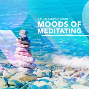 Moods of Meditating - Nature Sounds Radio