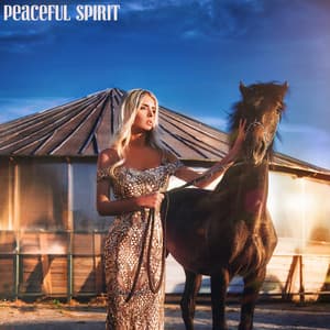 Peaceful Spirit - Guitar Instrumentals