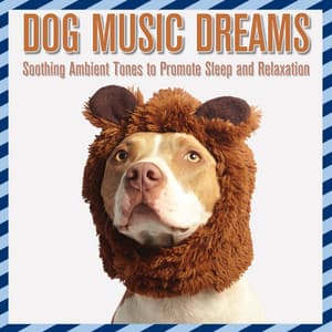 Dog Music Dreams: Soothing Ambient Tones to Promote Sleep and Relaxation - Dog Music