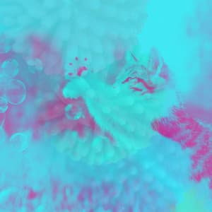 Feelings for Calm and Relaxing Kittens - Cat Music Waves