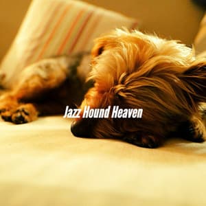 Jazz Hound Heaven - Dog Music Radio