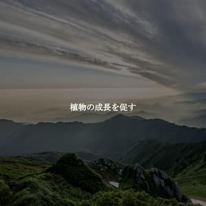 植物の成長を促す - Música para Programar