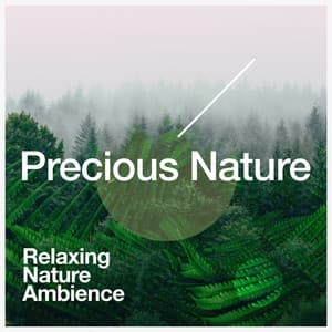 Precious Nature - Relaxing Nature Ambience