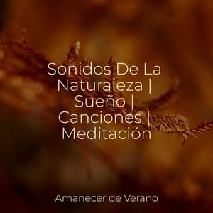 Sonidos De La Naturaleza | Sueño | Canciones | Meditación - Guitarra Clásica Española
