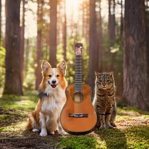 Pets' Peaceful Strings: Guitar Sounds in Forest Calm - Marvellous Guitar Music