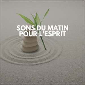 Sons Du Matin Pour L'esprit - Zen Musique Détente