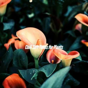 Chill Soft Tunes for Plants - Relaxing Jazz