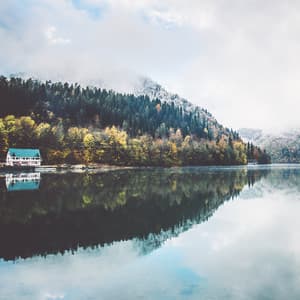 Consciente - Música De Relajación Para Dormir Profundamente