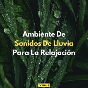 Ambiente De Sonidos De Lluvia Para La Relajación, Vol. 1 - Música de día lluvioso