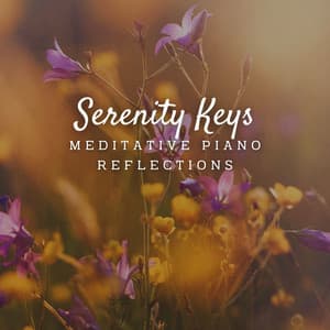 Tranquil Keys: Meditative Piano Reflections - Mindfulness Mediation World