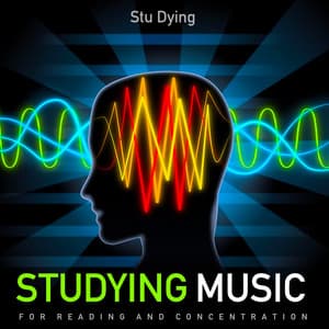 Studying Music for Reading and Concentration - Stu Dying