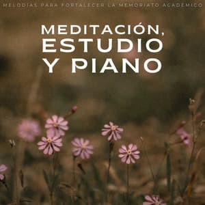 Meditación, Estudio Y Piano: Melodías Para Fortalecer La Memoria - Piano de jazz relajante