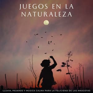 Juegos En La Naturaleza: Lluvia, Pájaros Y Música Calma Para La Felicidad De Las Mascotas - Ricky sonido de lluvia