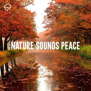Nature Sounds Peace - Nature Sounds Lab