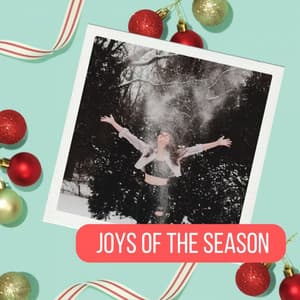 Joys of the Season - Christmas Music Station
