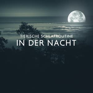 Tierische Schlafroutine in der Nacht: Achtsamkeit Meditation zum Einschlafen und Durchschlafen - Pet Music Academy