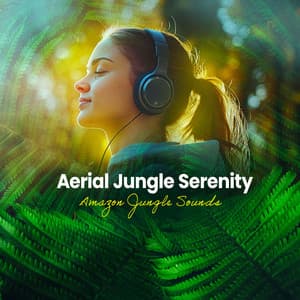 Aerial Jungle Serenity - Amazon Jungle Sounds