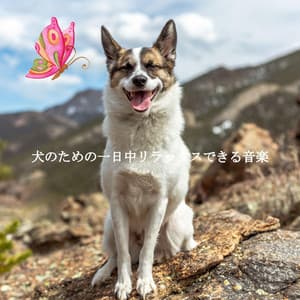 犬のための一日中リラックスできる音楽 - Jazz Ambiance
