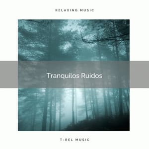 Tranquilos Ruidos - Ruido De Colores