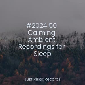#2024 50 Calming Ambient Recordings for Sleep - Music For Absolute Sleep