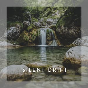 Silent Drift - Baby Shushing