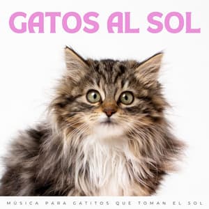 Gatos Al Sol: Música Para Gatitos Que Toman El Sol - Tranquilidad Eterna