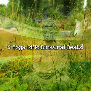 9 Yoga-Rific Binaural Beats! - Binaural Sound Engineer