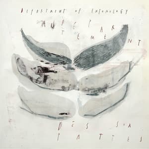 Department of Entomology - Teun Verbruggen