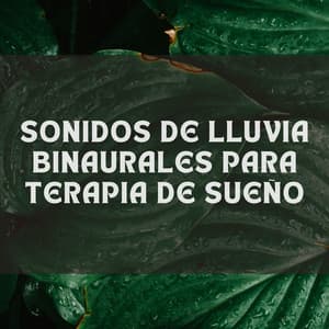 Sonidos De Lluvia Binaurales Para Terapia De Sueño - Estado de ánimo de lluvia