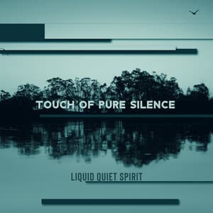 Touch of Pure Silence - Liquid Quiet Spirit