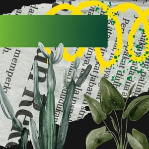 Music for Breezy Dreams - Jazz Organ and Guitar - Coffee House Guitar Jazz