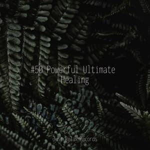 #50 Powerful Ultimate Healing - Relaxing Spa Music