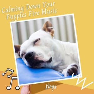 Dogs: Calming Down Your Puppies Fire Music - Deep Sleep Music