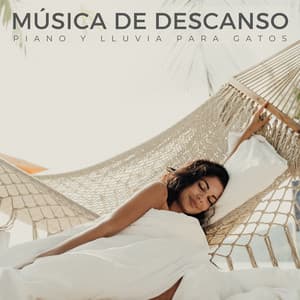 Música De Descanso: Piano Y Lluvia Para Gatos - Resplandor de piano