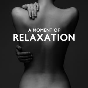 A Moment of Relaxation: Soothing Spa Treatment for Your Body and Mind, Tranquil Wellness Music - Relaxing Spa Oasis