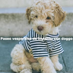 Paseo vespertino de invierno con doggo - Acoustic Coffee Shop Music