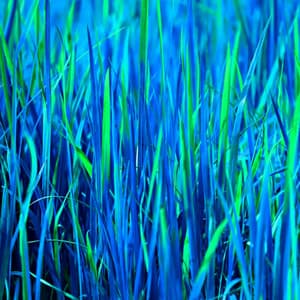 Music for Bathing - Motivational Words - Spa Music Hour