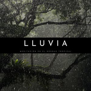 Lluvia: Meditación En El Bosque Tropical - Bosque Tropical