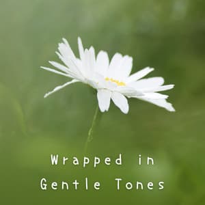 Wrapped in Gentle Tones - A-Plus Academy