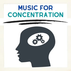 Concentration Music Playlist - Music for Concentration