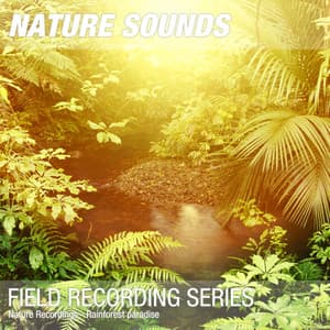 Nature Recordings - Rainforest paradise - Nature Sounds
