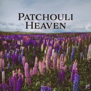 Patchouli Heaven: New Age Music for Spa, Ultimate Wellness, Total Tranquility State, Revitalising Harmony - Spa Music Paradise